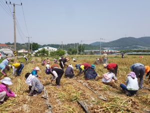 경주시 농업기술센터, 도농교류 농촌체험 교육
