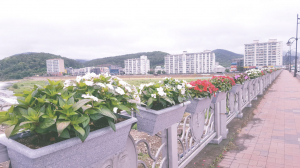 경주시 `아름다운 경주 만들기` 교량․화분대 등 여름 꽃 식재 
