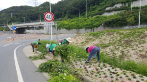 경주시 양북면 새마을부녀회, 휴가철 관광객 맞이 `환경정비` 