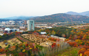˝찬란한 천년신라, 빛으로 살아나다˝ 경주세계문화엑스포 내달 11일 개최 