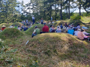 경주시 시래동상조회, 무연고 공동묘지 300여기 벌초 봉사 