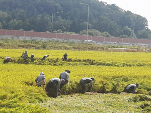 경주시 건천읍, 50사단 경주대대 태풍피해농가 일손돕기 지원 