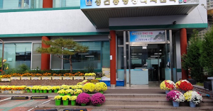 경주시 성건동, 도심 속 가을꽃 만발
