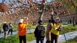 경주시, 농부의 마음을 배우는 농촌체험
