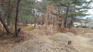 경주국립공원, 남산지구 분묘이장 신청자 모집