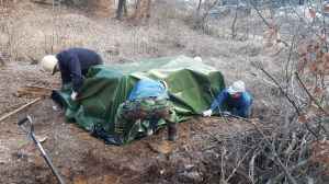 경주시, 2020년 상반기 `소나무재선충병 방제사업’ 착수 