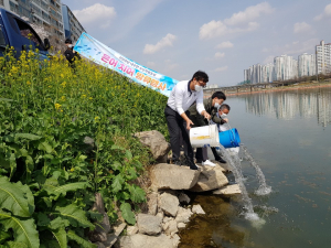 경주시, 형산강 은어 치어 3만미 방류