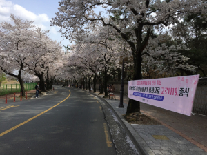 경주시 `사회적 거리두기` 실천 집중 홍보 