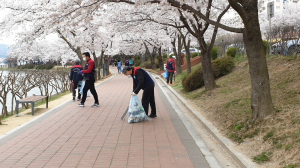 한국자유총연맹 경주시지회, 보문단지 둘레길 방역. 환경정비 