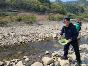경주시, 산내면 동창천 일대 `어린 다슬기 30만 마리 방류`