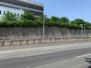 경주시 선도동, 충효생태하천 산책로 꽃길 조성 