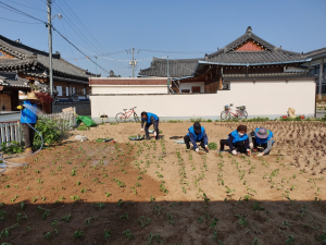 경주시 황남동 ˝황리단길. 첨성로변 꽃길따라 걸어요~˝ 