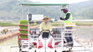 주낙영 경주시장, 본격적으로 시작되는 모내기 현장 방문 `소통`