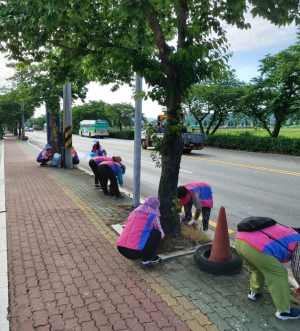경주시 황남동, 생활개선회 `금성로 가로변 제초작업` 