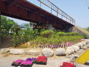 경주시 건천읍, 건천1리 상습 쓰레기 투기지역 클린 화단으로 탈바꿈 