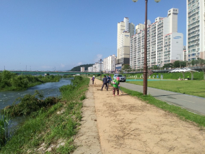 경주시 현곡면, 금장둔치 환경정화활동 펼쳐 