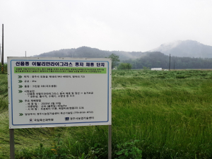 경주시, 기후변화 대응 신품종 사료작물 종자 농가 보급 