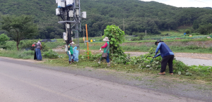 경주시 양남면, 새마을지도자협의회·부녀회 환경정비 