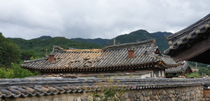 신라문화원, 제9. 10호 태풍 영향 `경북남부권 지역 문화재 피해 심각` 