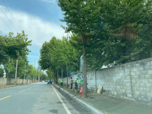 경주시 황성동, 태풍 피해복구 환경정비 