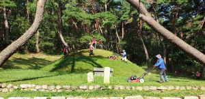 [사진] 경주시 신라임금 이발