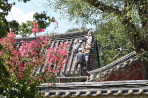 [사진]신라문화원 경북남부문화재돌봄사업단, 태풍피해 문화재 수리