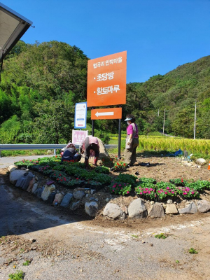 경주시 양북면, 마을 곳곳 예쁜 꽃길 조성 