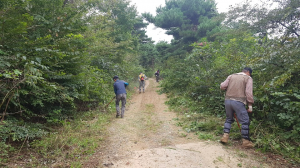 경주시, 추석맞이 임도 변 풀베기 작업 추진