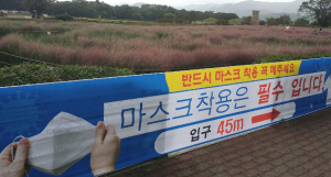 경주시, 동부사적지 대대적인 환경정비 `방역. 소독` 