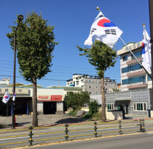 경주시 `나라사랑 태극기 달기 범시민 운동` 전개 