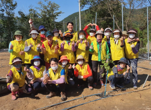 경주시종합자원봉사센터 ‘친절한 경자씨` 산내면 농가 태풍피해 복구 작업 지원 