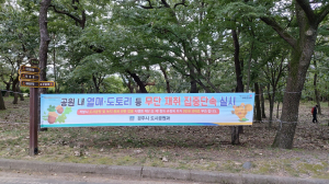 경주시, 황성공원 도토리 무단 채취 극성 `단속 시급`