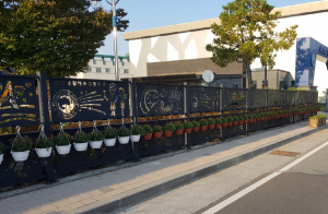 경주시 내남면, 면소재지 거리 국화꽃길 조성 