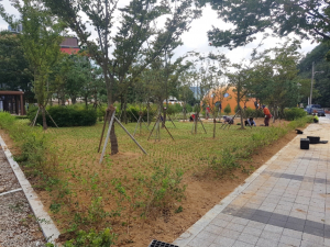 경주시 산내면, 동창천 청룡공원 야생화단지 조성 
