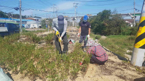 경주시 외동읍, 냉천2리 새터마을 게릴라가든 조성 