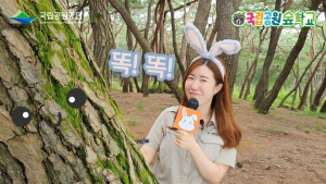 경주국립공원 ‘국립공원 온라인 환경체험교육 콘텐츠` 제작 배포 