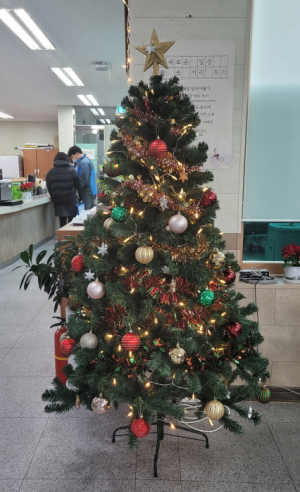 경주시 월성동, 크리스마스 트리장식 설치