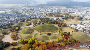 경주시, 불국사. 석굴암. 대릉원 일대 ‘한국관광 100선’ 선정