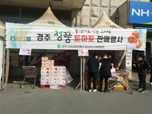 경주시, 경주농협 하나로마트 `청품 토마토` 특별판매