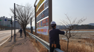 경주시, 가로수 전정 작업 시행
