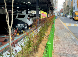 경주시 황오동, 코로나로 지친 시민들의 활력소 `봄꽃` 식재 