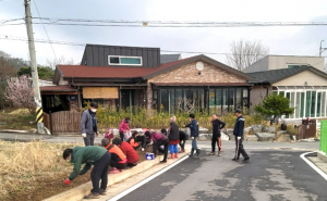 경주시 강동면, 신바람 봄맞이 꽃밭 조성 