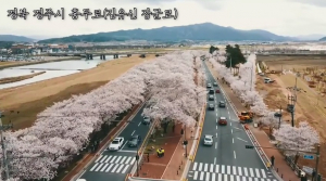 경주경찰서 ˝벚꽃‘드라이브 스루’로 즐기세요˝