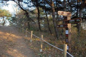 경주시, 등산로 종합정비계획 기본조사 착수 