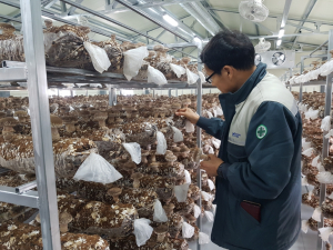 경주시, 귀농귀촌 1번지 도약하는 경주 `도시민 정착 지원` 