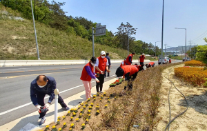 경주시 감포읍, 달방고개 소공원 아름다운 꽃 식재 