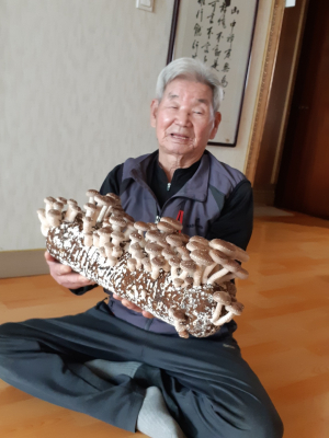 경북남부보훈지청, 5感터치원예치료 지원 
