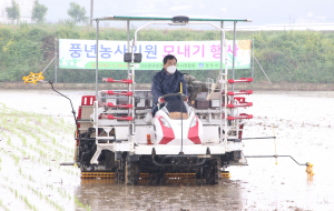 주낙영 경주시장, 드문모심기 모내기 참여 `풍년농사 기원`