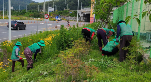 경주시 문무대왕면, 새마을부녀회 환경정비 