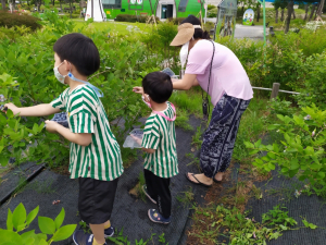 경주시 ˝블루베리 열매 따러 ‘경주 동궁원’ 으로 오세요˝ 